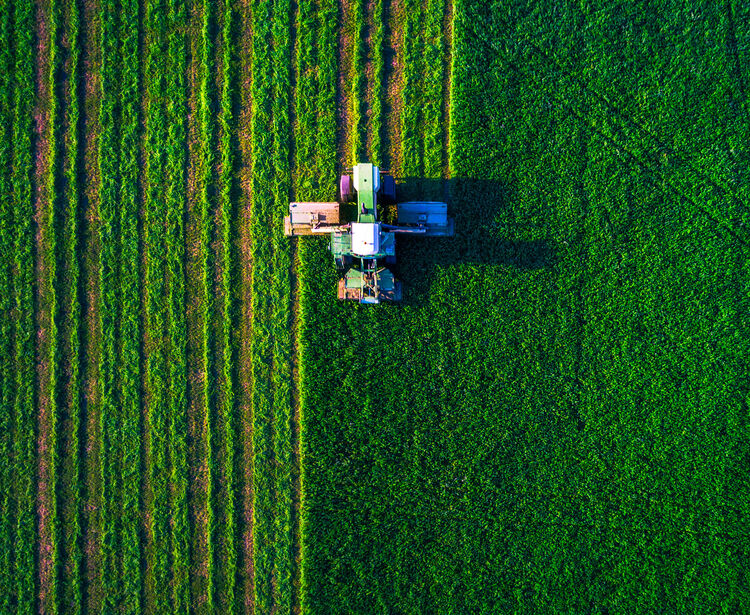 Gestão Agrícola